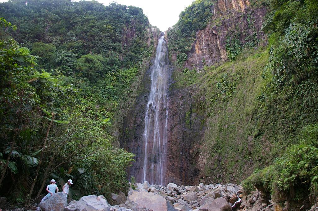 Kaz Creole Aventure Tropicale Insolite, Fibre, Jardin Et Jacuzzi Prives Saint-Francois  Dış mekan fotoğraf