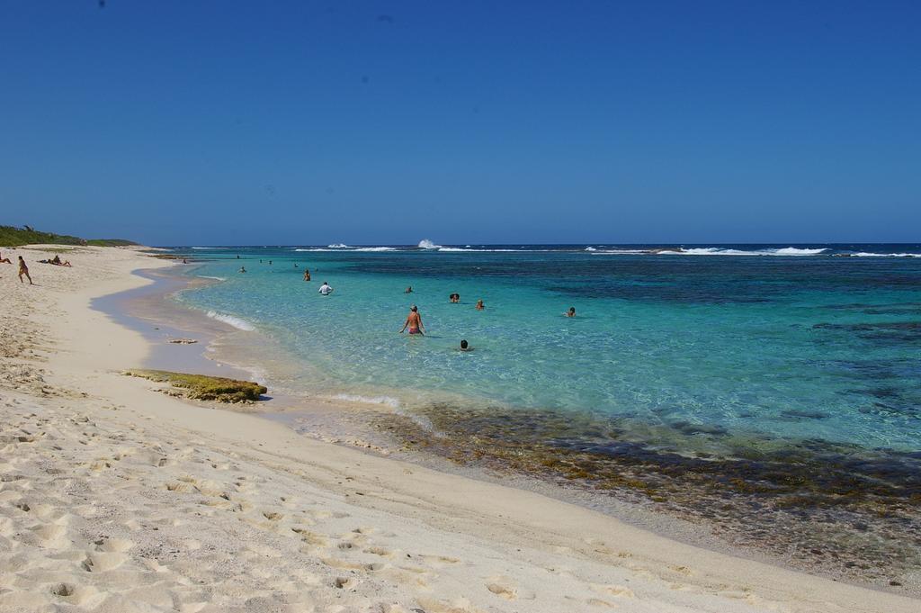 Kaz Creole Aventure Tropicale Insolite, Fibre, Jardin Et Jacuzzi Prives Saint-Francois  Dış mekan fotoğraf
