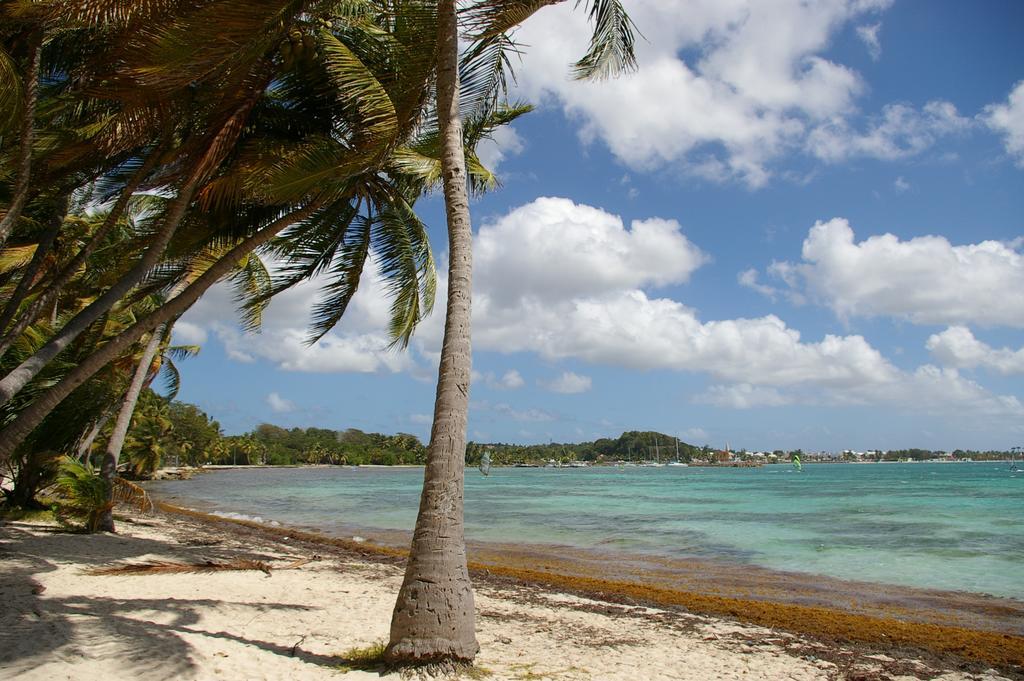 Kaz Creole Aventure Tropicale Insolite, Fibre, Jardin Et Jacuzzi Prives Saint-Francois  Dış mekan fotoğraf