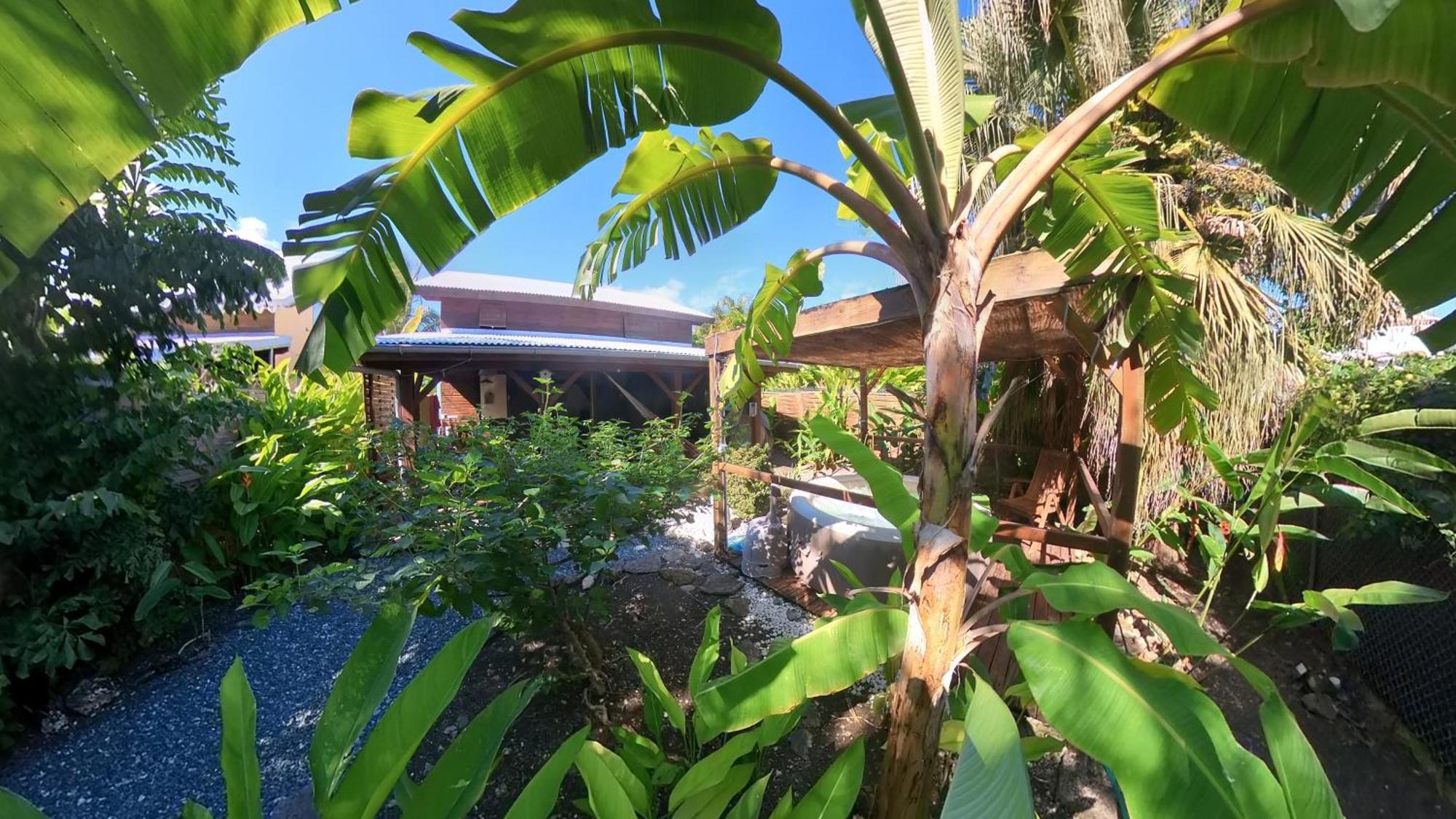 Kaz Creole Aventure Tropicale Insolite, Fibre, Jardin Et Jacuzzi Prives Saint-Francois  Dış mekan fotoğraf